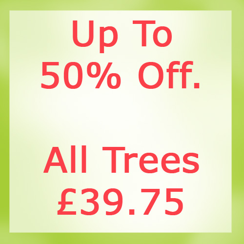 EVERYTHING £39.75 SOME TREES MORE THAN 50% DISCOUNT***FREE UK MAINLAND DELIVERY***