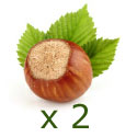 Cheap Hazel Trees, Discounted pollination partner package. 7 Litre pot, 2-3 years old. **FREE UK MAINLAND DELIVERY + FREE 100% TREE WARRANTY** Cheap Hazel Trees, Discounted pollination partner package. 7 Litre pot, 2-3 years old. **FREE UK MAINLAND DELIVERY + FREE 100% TREE WARRANTY**