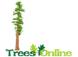 Sequoia Trees