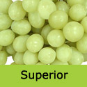 Superior Seedless Grape Vine, Eating, White, Outdoor, SEEDLESS + EXCELLENT DESSERT **FREE UK DELIVERY + FREE 3 YEAR LTD WARRANTY**