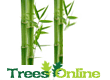 Bamboo Trees
