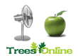 Apple Trees (Fan-Trained)