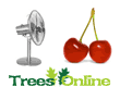 Cherry Trees (Fan-Trained)