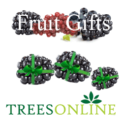 Blackberry Gift Box**PRICE INCLUDES FREE MAINLAND UK DELIVERY**