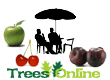 The Patio Fruit Tree Collection