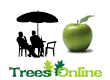 Apple Trees (Patio Sized)