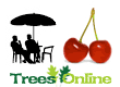 Cherry Trees (Patio sized)