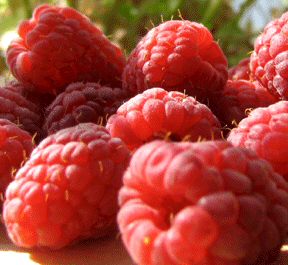 Raspberry Soft Fruit