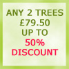 Any 2 Trees Only £79.50, Up To 50% Discount, All 2+ years old, 1-2m Tall ***FREE UK MAINLAND DELIVERY***