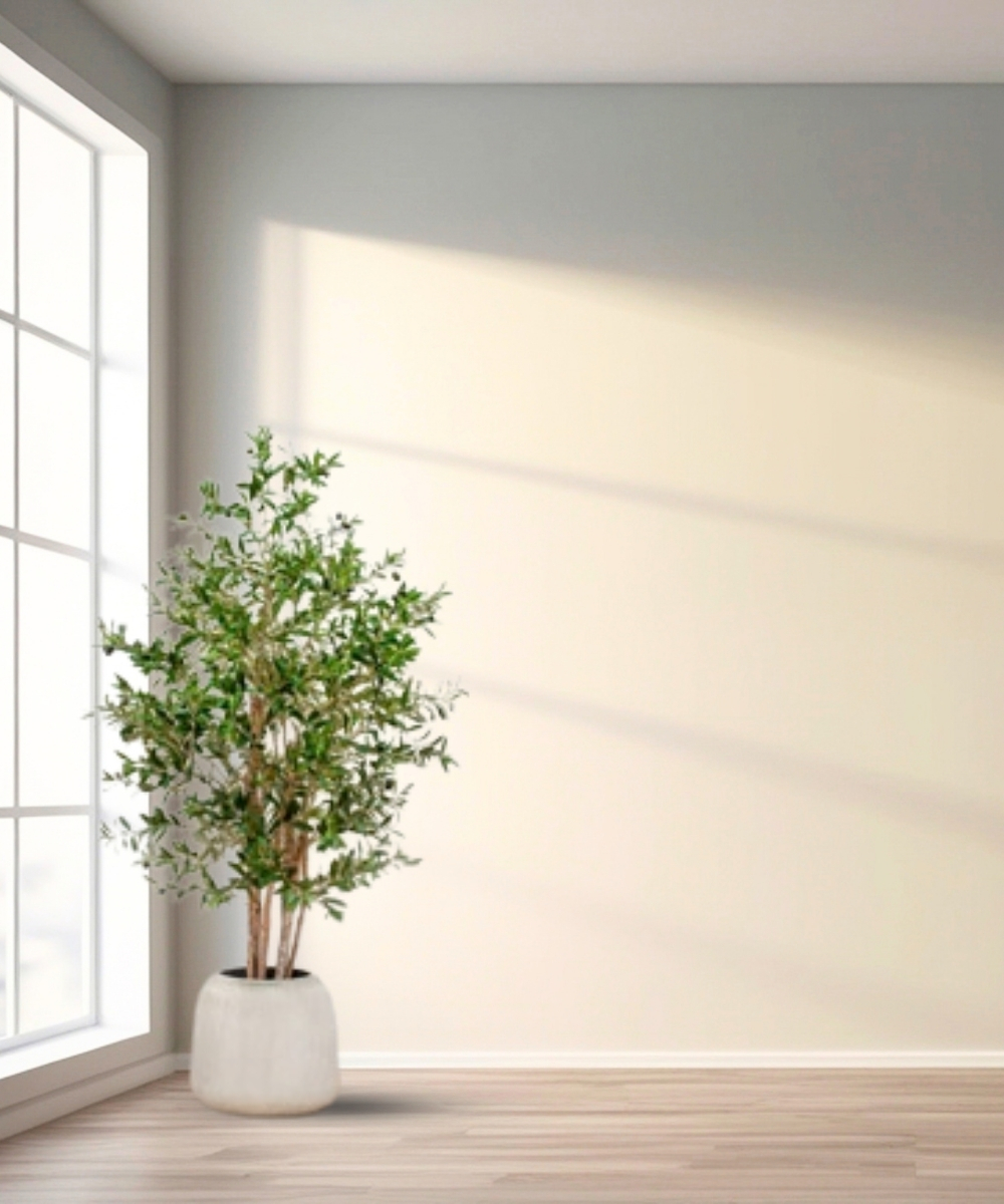 150cm Natural Trunk Artificial Olive Tree