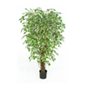 Luxury High Quality Commercial Grade Artificial Fig (Ficus) Liana Tree (Variegated) *** FREE UK MAINLAND DELIVERY ***