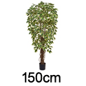 Luxury High Quality Commercial Grade Artificial Fig (Ficus) Liana Tree (Variegated) *** FREE UK MAINLAND DELIVERY ***