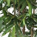Artificial Bamboo Tree 'Green Crown' 180cm **FREE UK MAINLAND DELIVERY**