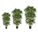 Artificial Bamboo Tree 'Natural' **FREE UK MAINLAND DELIVERY*