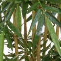 Artificial Bamboo Tree 'Natural' **FREE UK MAINLAND DELIVERY*