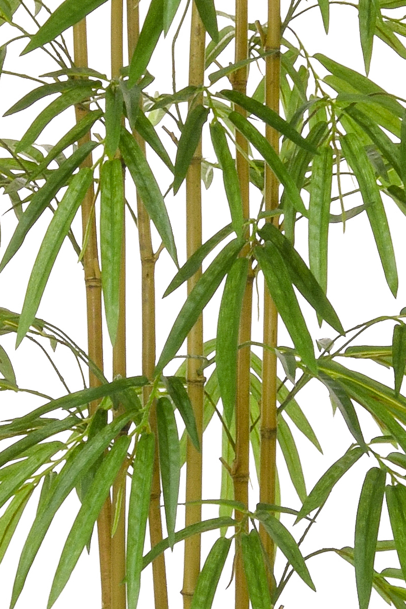 Buy Artificial Bamboo Multi-Stem Tree - Superior Quality ...