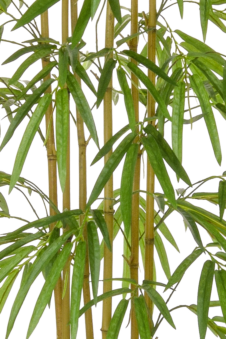 Buy Artificial Bamboo MultiStem Tree Superior Quality + Fire