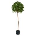 Artificial Bay Laurel Tree Tall **FREE UK MAINLAND DELIVERY**