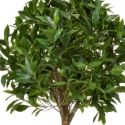 Artificial Bay Laurel Tree Tall **FREE UK MAINLAND DELIVERY**