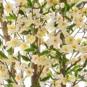 Artificial Cherry Blossom Tree White - Stunning Quality + Expertly Handmade **FREE UK MAINLAND DELIVERY**