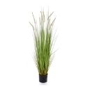 Artificial 'Dogtail' Grass with Pot 120cm - Premium Quality + Durable + Fire Retardant **FREE UK MAINLAND DELIVERY**
