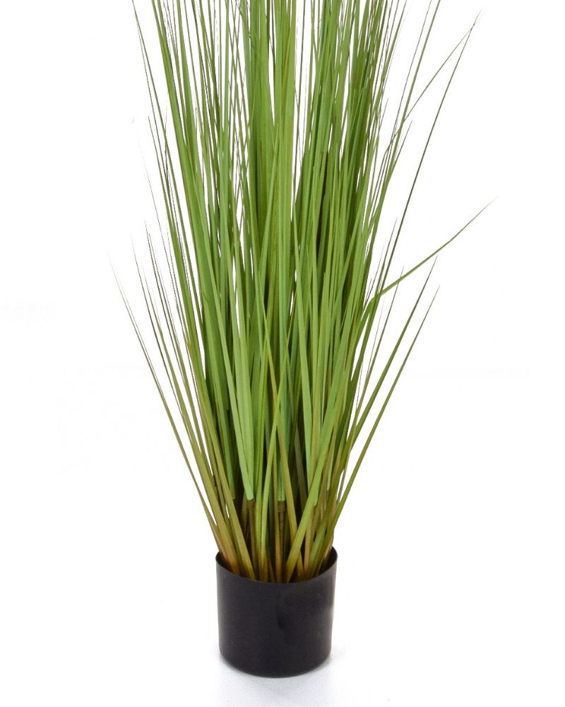 Buy our Artificial 'Dogtail' Grass in Pot 180cm Premium Lifelike