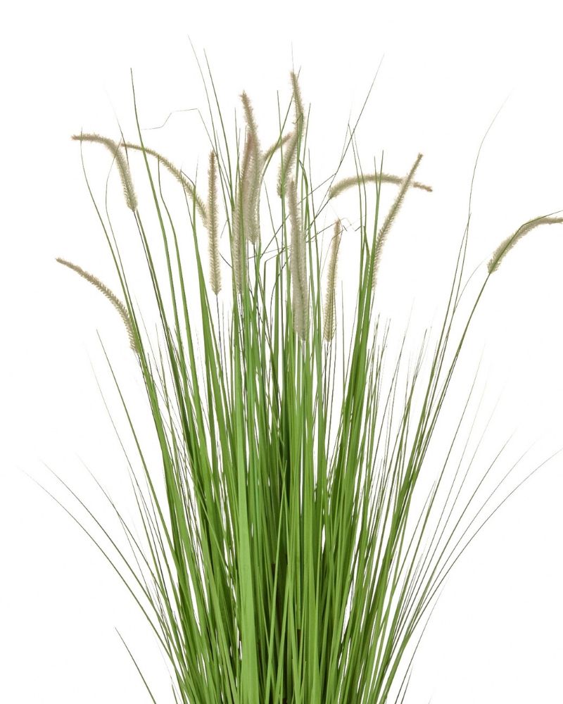 Buy our Artificial 'Dogtail' Grass in Pot 180cm Premium Lifelike