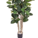 Artificial Ficus (Fig) Elastica 170cm - Highly Realistic + Superior Quality **FREE UK MAINLAND DELIVERY**