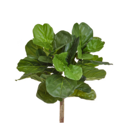 Artificial Fiddle Leaf Fig Clear Stem - 170cm - Superior Quality + Expertly Hand-crafted **FREE UK MAINLAND DELIVERY**