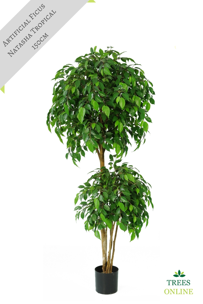 Buy our Artificial Ficus Fig Tree 'Natasha Tropical' Stunning Quality + Highly Realistic **FREE