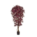 Artificial Japanese Maple Tree in Burgundy - Stunning Quality + Life-Like **FREE UK MAINLAND DELIVERY**