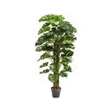 Artificial large green monstera tree in planter on white background