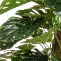 Artificial green monstera tree leaf close-up