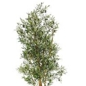 Artificial Olive Fruit Tree 180cm - Fire Retardant - Exceptional Quality **FREE UK MAINLAND DELIVERY**