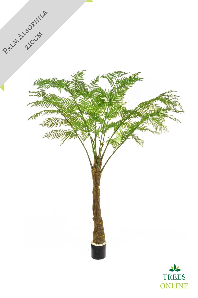 Buy Artificial Palm Tree 'Alsophila' Premium Quality + Exceptionally