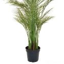 Artificial Palm Tree 'Areca' 180cm Superior Realism + Premium Quality **FREE UK MAINLAND DELIVERY**