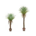 Artificial Palm Tree 'Cycas' Expertly Crafted + Extremely Life-like **FREE UK MAINLAND DELIVERY**