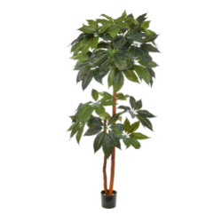Artificial Schefflera Double Stem Tree 180cm | Deluxe Quality + Natural Wood Trunk + Fire Retardant **FREE UK MAINLAND DELIVERY**