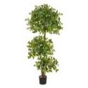 Artificial Schefflera Multi-Layer Tree 180cm | Deluxe Quality + Natural Wood Trunk **FREE UK MAINLAND DELIVERY**