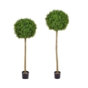 Artificial Topiary Buxus Single Ball Tree **FREE UK MAINLAND DELIVERY**