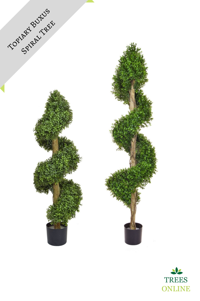Artificial Topiary Buxus Spiral with Exposed Trunk. FUSSFREE + HIGH