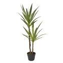 Artificial large Yucca tree in black planter on white background