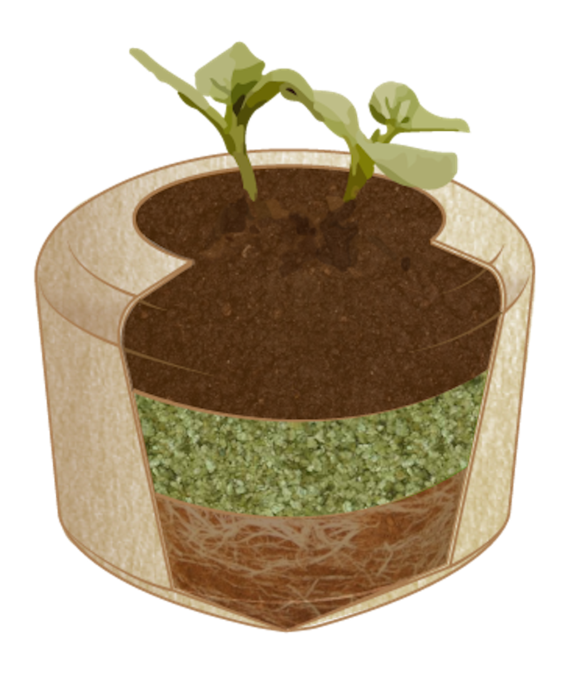 Bios Biodegradable Urn for Pet Ashes + 12 Tree Saplings ...