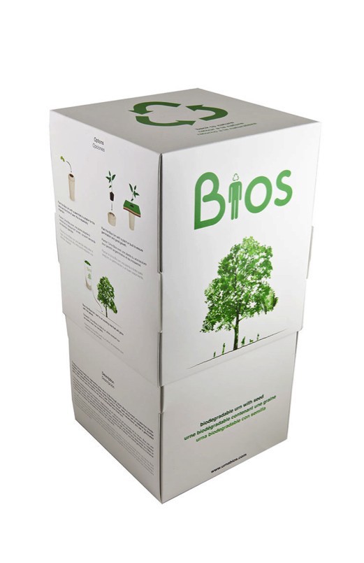 BIOS Biodegradable Urn for Ashes + 12 Tree Sapling ***FREE UK MAINLAND