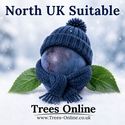 Farleigh damson tree good for North UK locations