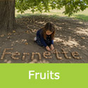 Fernette Walnut fruits