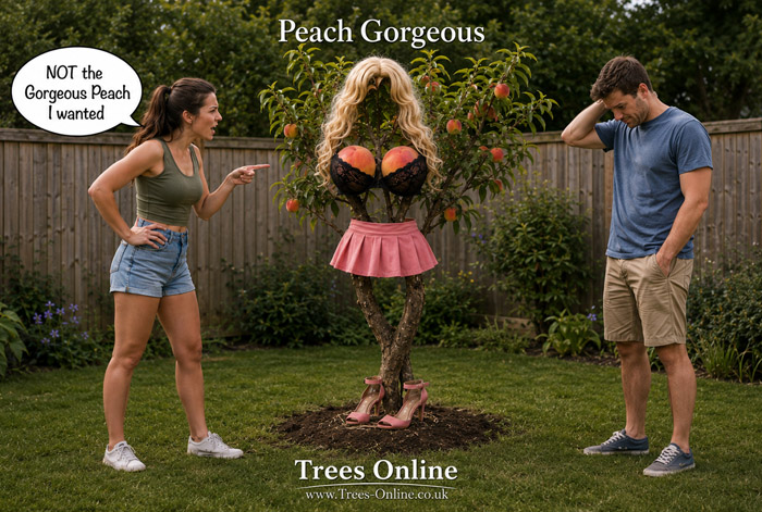 Gorgeous Peach tree meme showing a young couple in a garden with a dressed peach tree