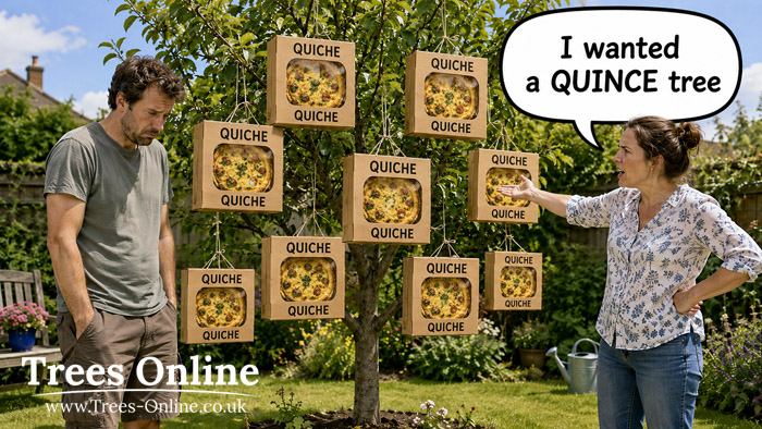 Humorous quince tree meme showing a garden mix-up between a quince tree and quiche