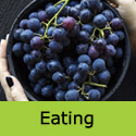 Muscat Bleu Eating Grape Vine