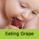Polo Muscat eating grape vine